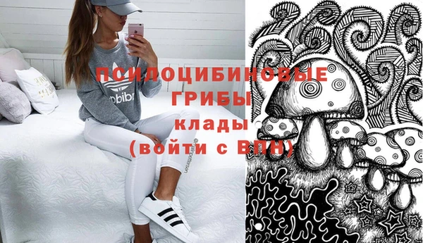 меф Богородицк