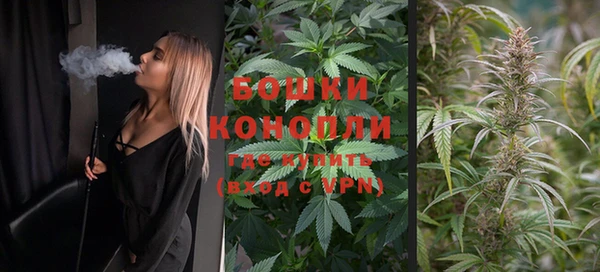 меф Богородицк