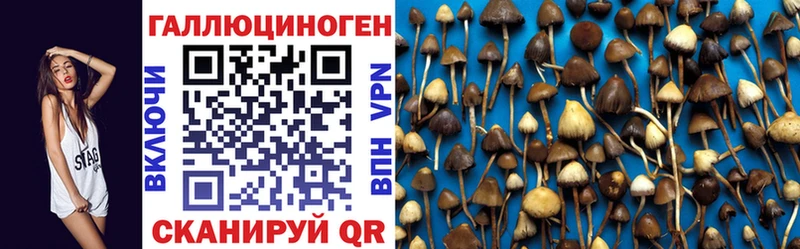 кракен ССЫЛКА мориарти телеграм Галлюциногенные грибы Psilocybine cubensis Облучье